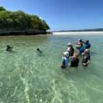 sortie en mer le francois martinique